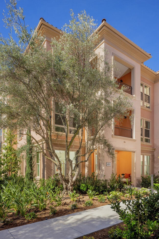 Photo - Avella Apartment Homes