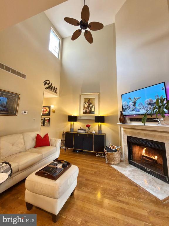 Photo - 263 Tavistock Rd