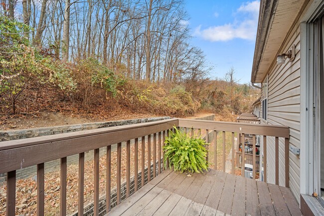 Photo - 269 Miley Rd