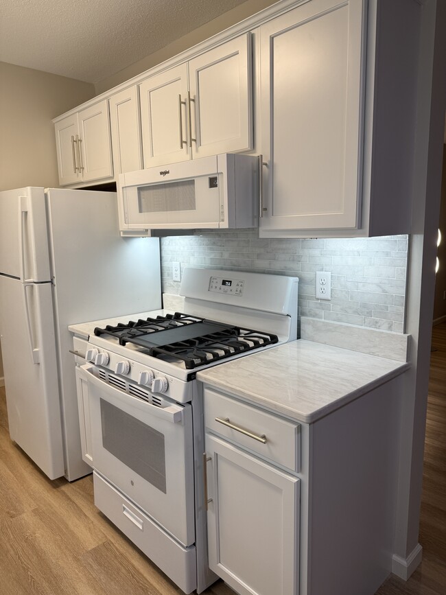 Fully Remodeled Kitchen - 9400 Old Cedar Ave S Unit 219
