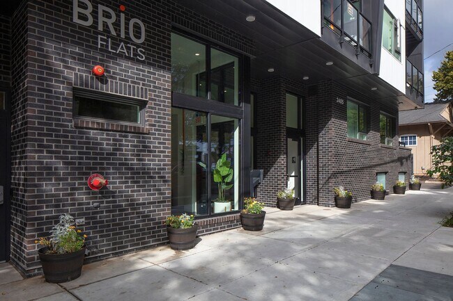 Brio Flats