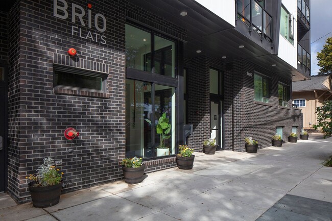 Photo - Brio Flats