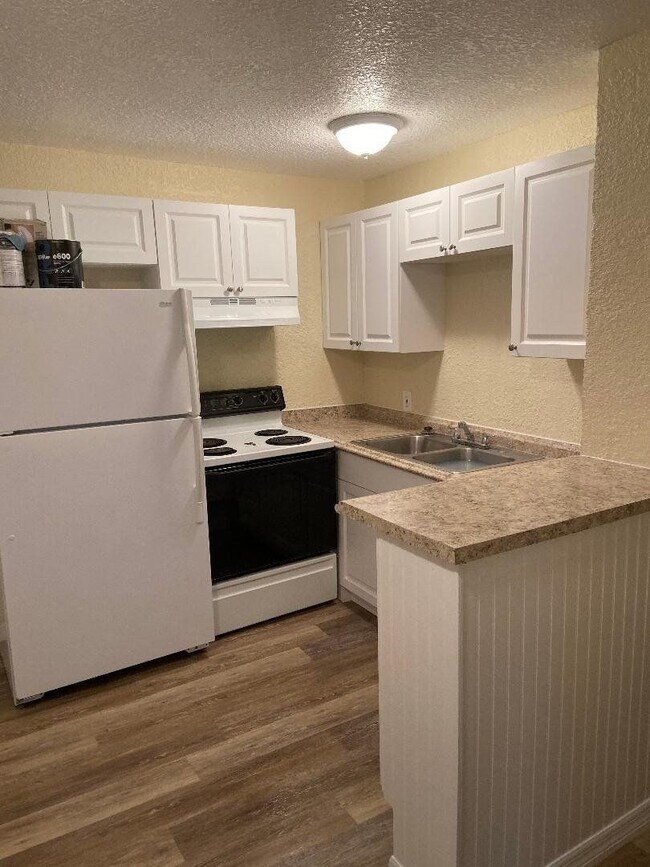Photo - House for Rent - St Petersburg 3 Bedroom 1 Bath w WD Room