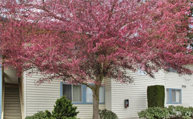 Photo - East Park Place Apartments