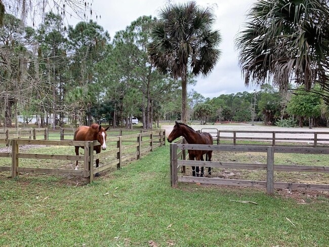 Photo - 1711 Stallion Dr