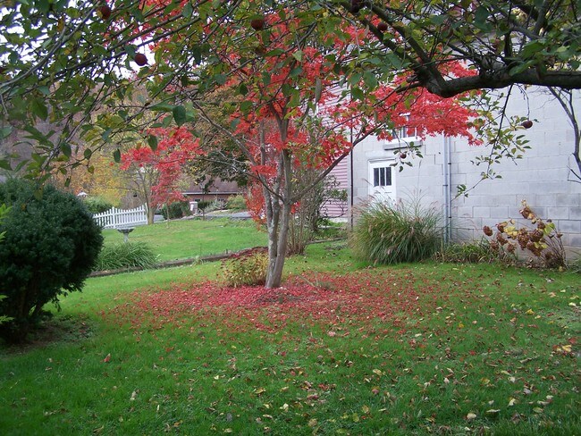 Photo - 305 N 6th St