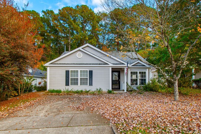 Charming Ranch Home in Apex with Vaulted C... - Charming Ranch Home in Apex with Vaulted C...