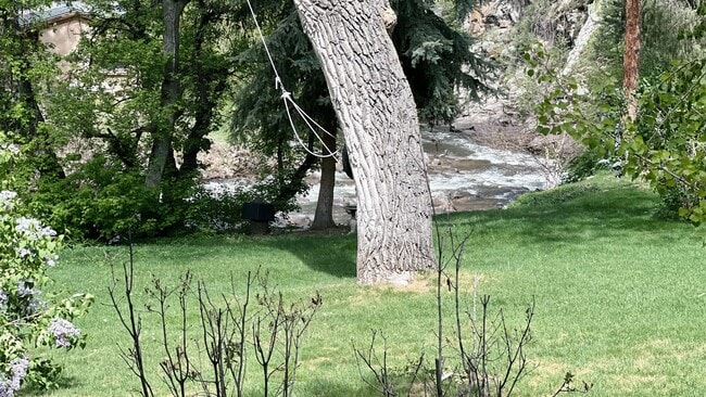 Photo - 37 Silver Spruce