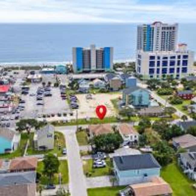 Photo - Pink Flamingo #1