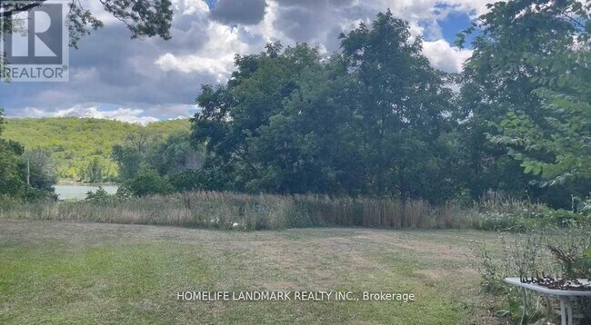 Photo - 1355 County Rd 45