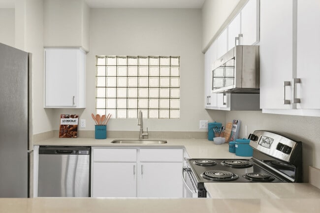 Photo - Fountain Palms