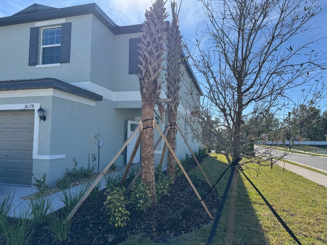 Photo - 36178 Risa Michele St