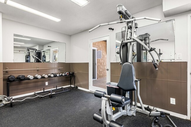 Gym with free weights and current machines