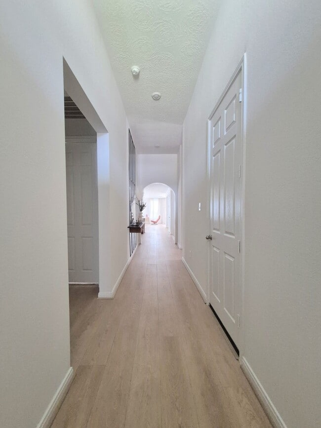 Photo - 41818 Buckskin