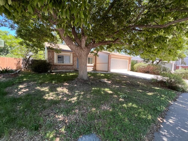 Photo - Fantastic Home in Central Fort Collins