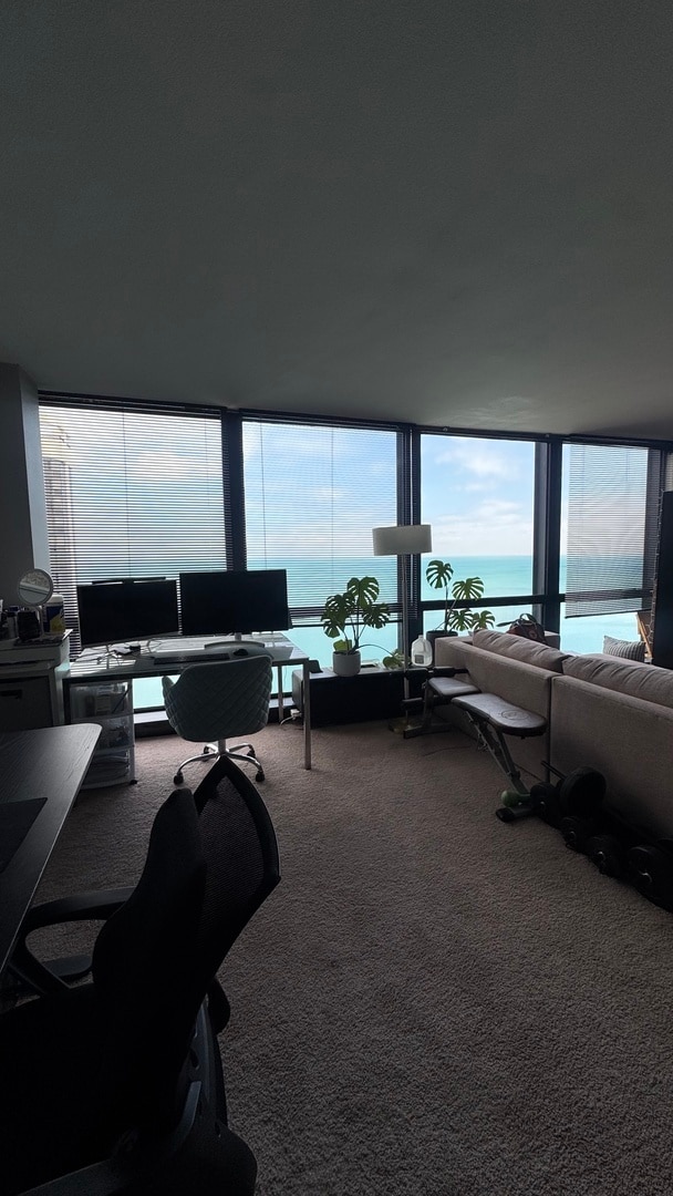 Photo - 900 N Lake Shore Dr Unit 2811