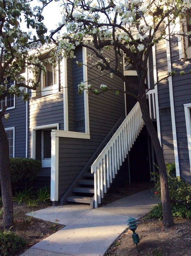 GORGEOUS 2 BEDROOM 1 BATH CONDO - GORGEOUS 2 BEDROOM 1 BATH CONDO