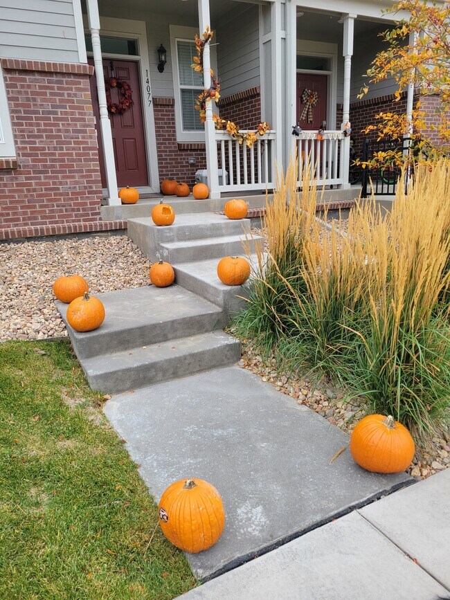 14077 Jackson St Townhome For Rent in Thornton, CO