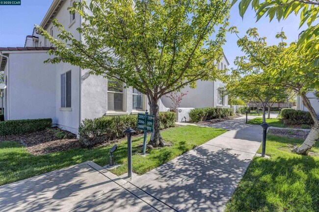 Photo - 2000 Amaryllis Cir