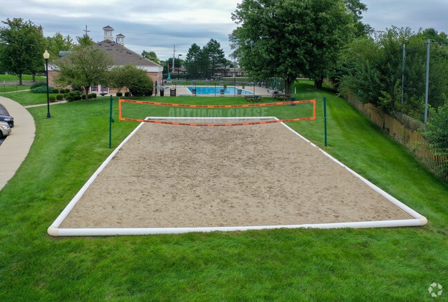 Volleyball