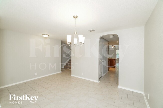 Photo - 15518 Night Heron