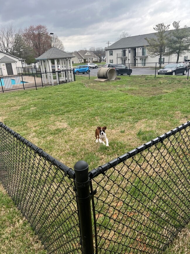 Photo - The Flats at Wilkinson