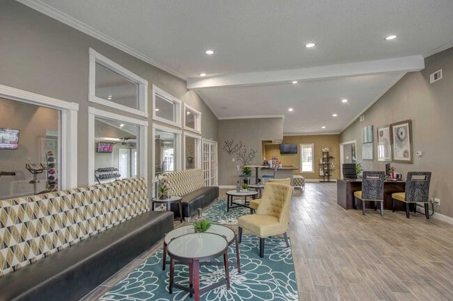 Photo - Sunset Shadows