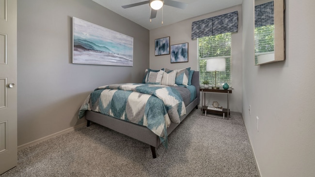 Trivela Port St Lucie