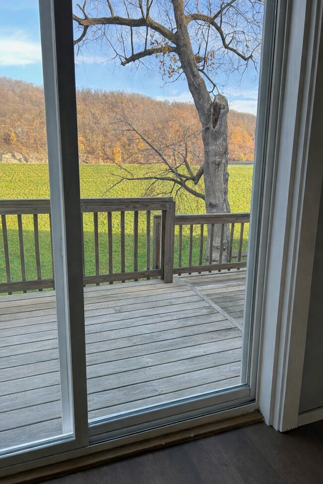 Deck - 211 E Water St