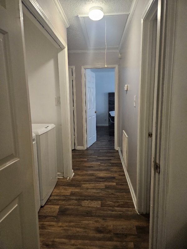 Photo - 536 Shadow Moss Dr