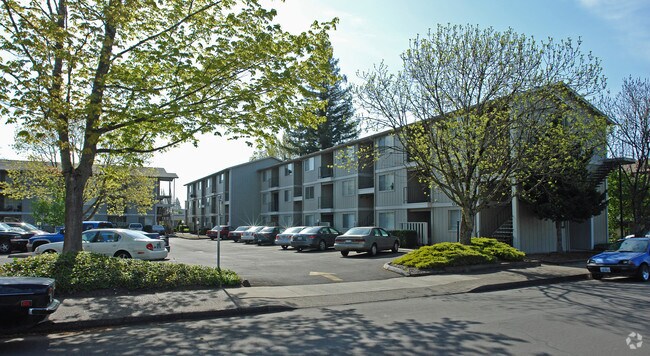 Ashwood Apartments - Upcoming Vacancy in July - Ashwood Apartments - Upcoming Vacancy in July