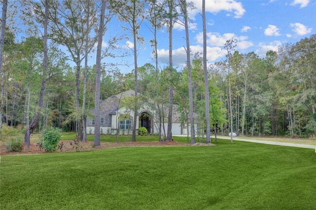 Building Photo - 1619 Chisos Bnd