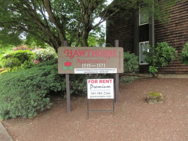 One Bedroom Apartment Close to Downtown - One Bedroom Apartment Close to Downtown Unit 1543