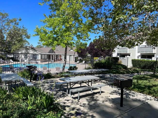 Picnic Area