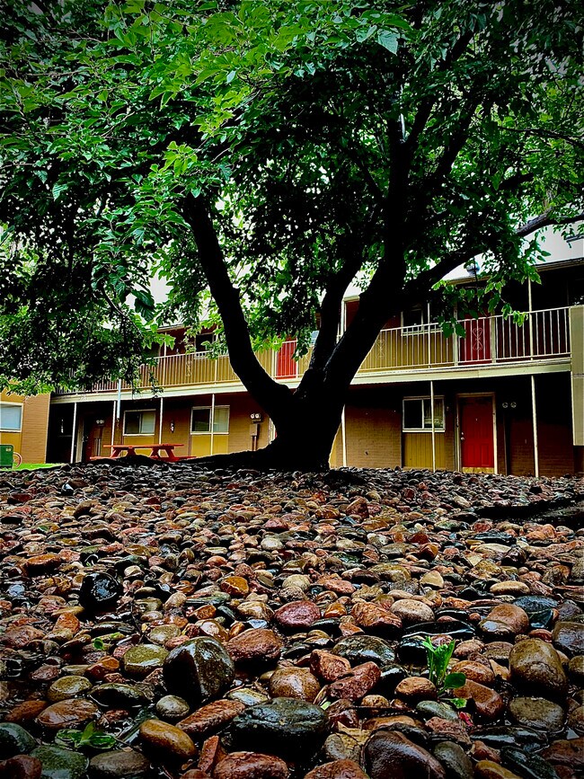 Newport Granada Apartments