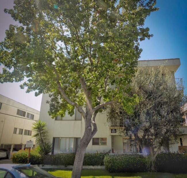 Building Photo - 519 Idaho Ave, 1 blocks to Montana and 5 ... Rental