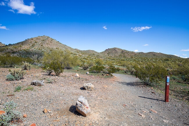 Phoenix Sonoran Preserve Trails
