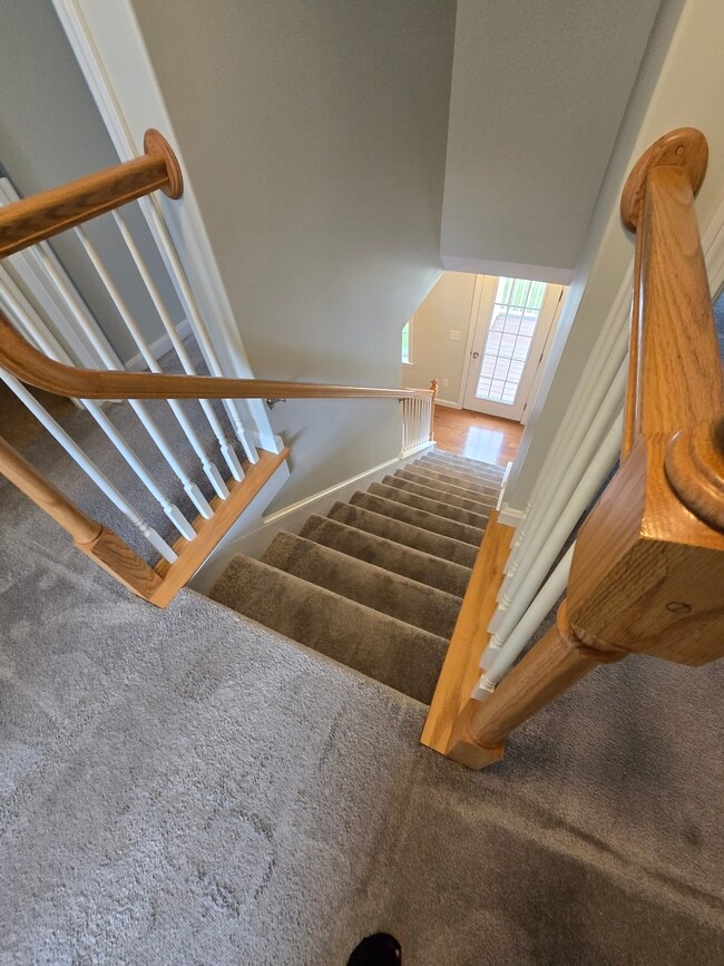 Photo - 4 Riesling Ter