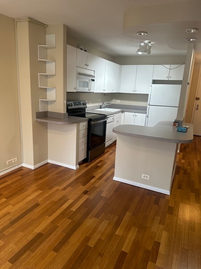 Photo - 405 N Wabash Ave Unit 308