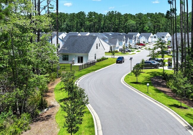 New River Forest