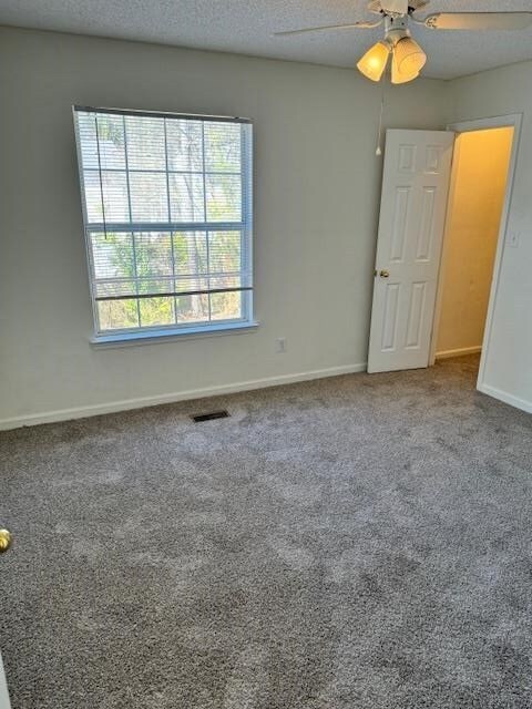 2820 Saw Palmetto Ln