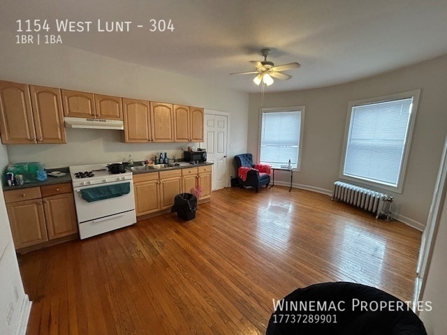 Photo - 1154 West Lunt-304 Unidad 304
