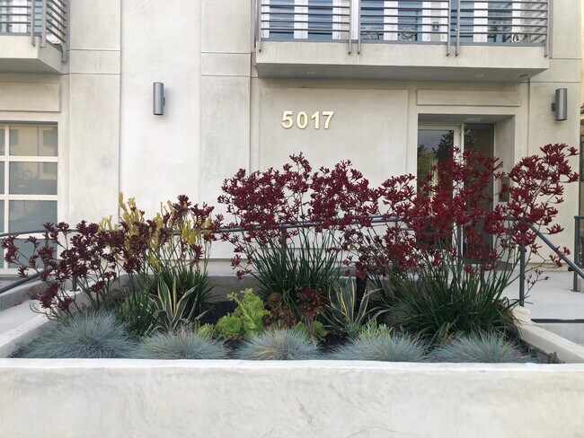 Photo - 5017 Laurel Canyon Blvd Apartments Unit JASBE YEHOSHUA