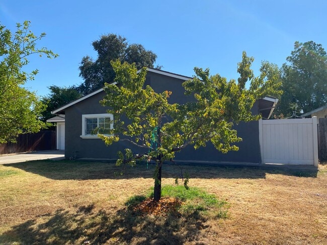 Photo - All Freshened Up and Waiting!