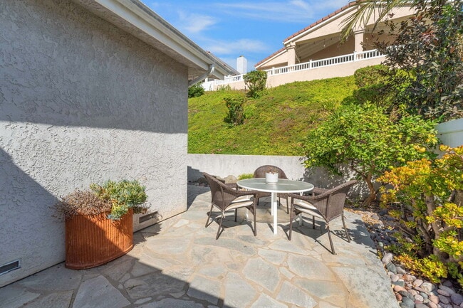 Patio Area/lemon tree
