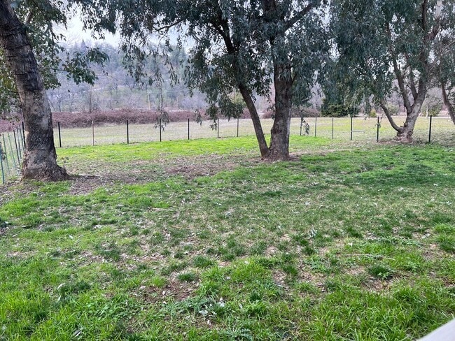 Photo - Country Setting 4-bedroom, 2-bathroom home!