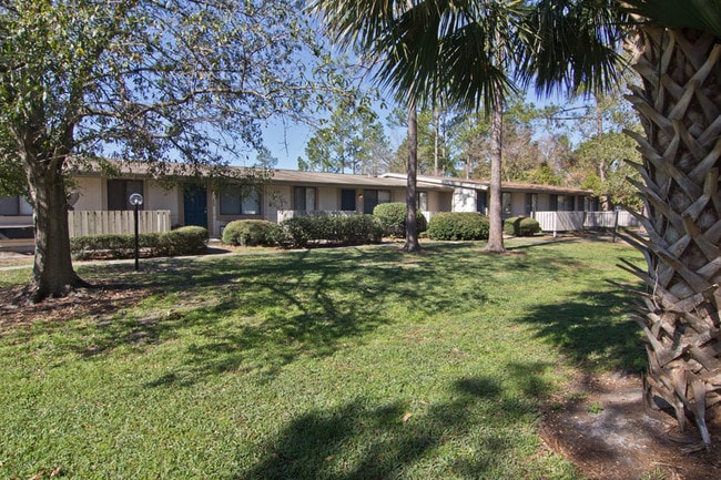 Photo - Pine Barrens