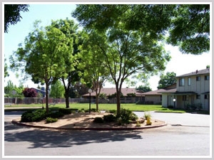 Parkview I & II - Parkview I & II Apartments
