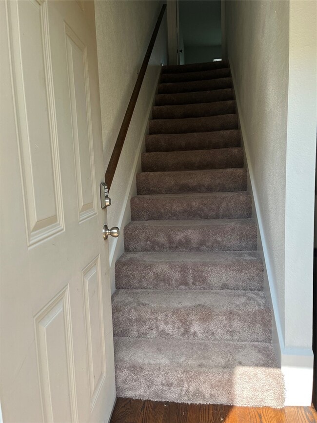 Photo - 2517 Bering Dr