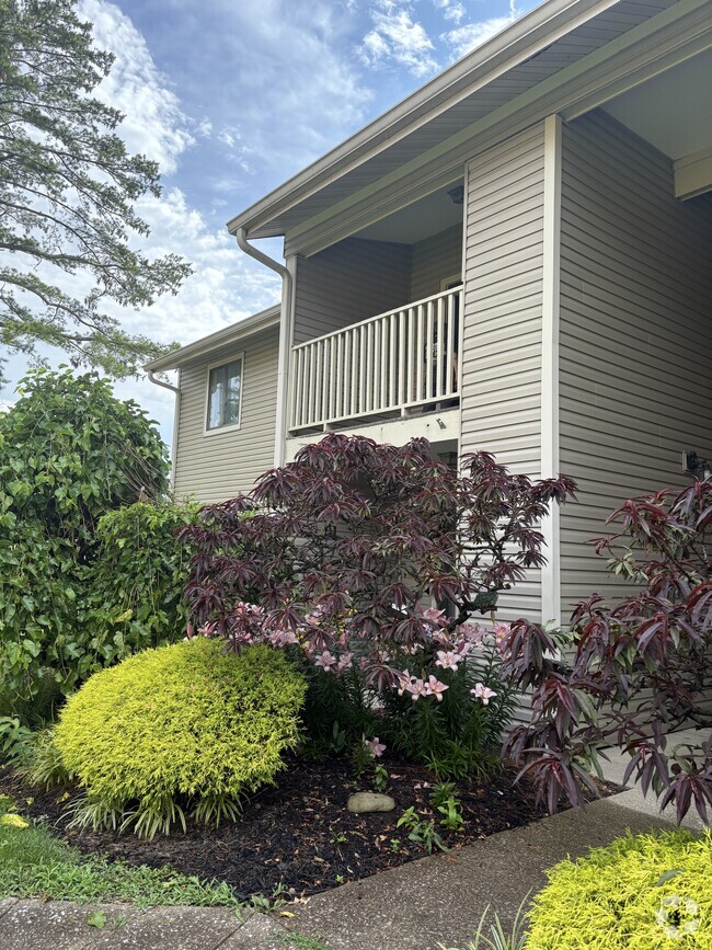 Building Photo - 334 Oxford Dr Rental